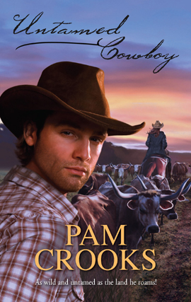Cover image for Untamed Cowboy